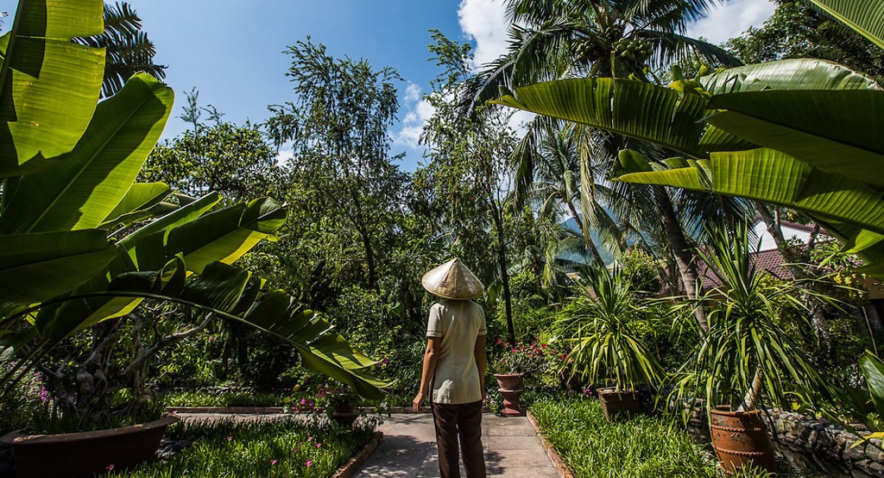 Vietnam and Thailand have similar weather patterns